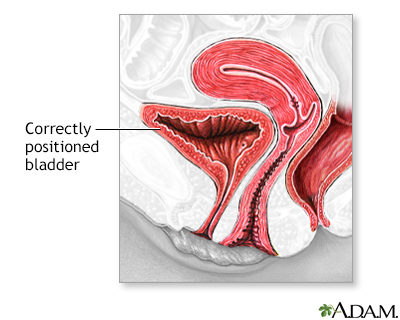 Procedure, Part 1