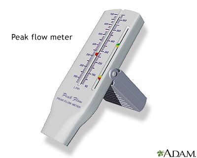 Peak flow meter