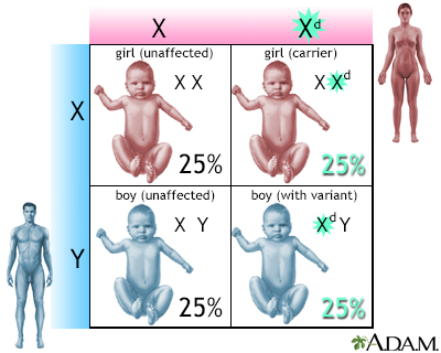 X-linked recessive genetic variants