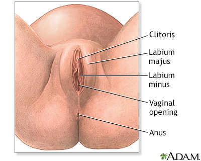 Episiotomy - series