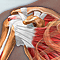 Shoulder pain