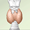 Effects of thyroid disease