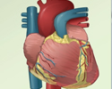 Congestive heart failure (CHF) overview