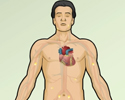 Electrocardiogram (ECG) test overview