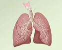 Overview of chronic obstructive pulmonary disease (COPD)